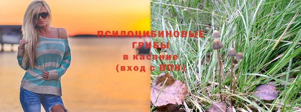 твердый Вязьма