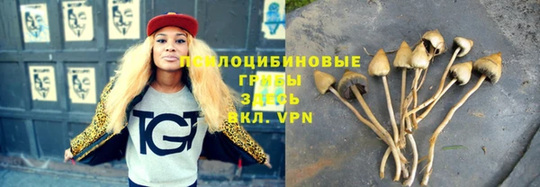 спиды Вязники