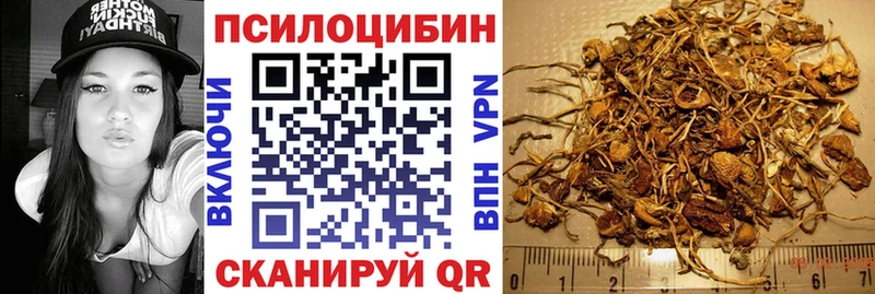 где купить наркоту Осинники Галлюциногенные грибы Magic Shrooms