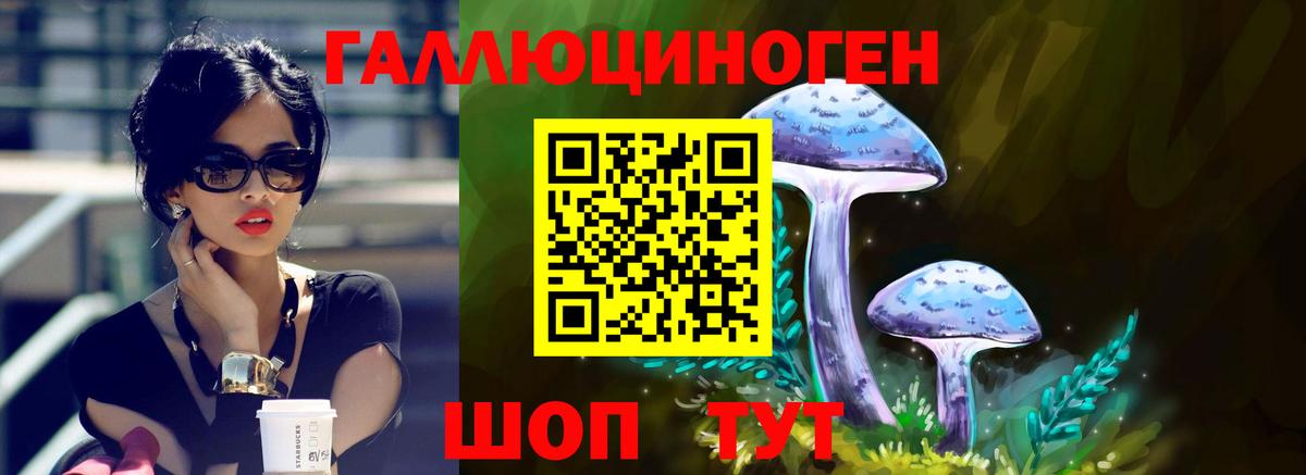 Галлюциногенные грибы GOLDEN TEACHER  Псилоцибиновые грибы мухоморы  Осинники  Вход с VPN 